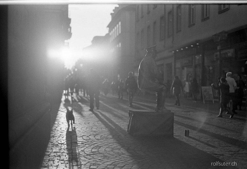 dug and human sculpture during sunset in Heidelberg