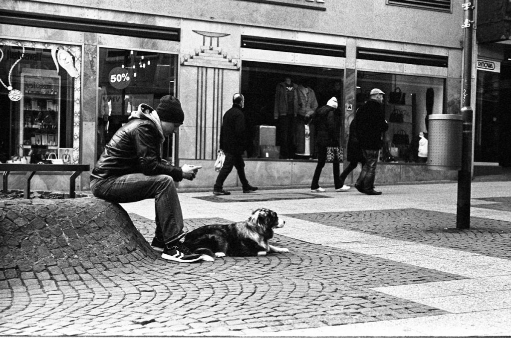 Dog guarding his master in Frankfurt